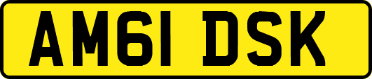 AM61DSK