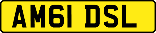 AM61DSL