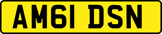 AM61DSN