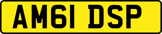 AM61DSP
