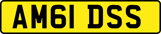 AM61DSS