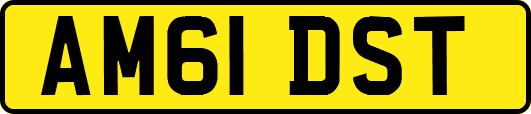 AM61DST