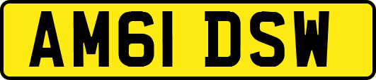 AM61DSW