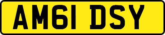 AM61DSY
