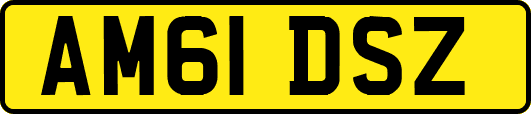 AM61DSZ