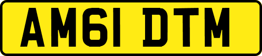 AM61DTM