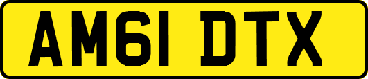 AM61DTX