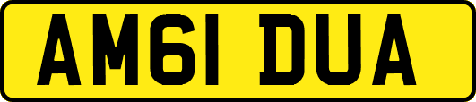 AM61DUA