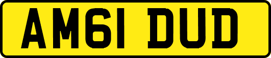 AM61DUD