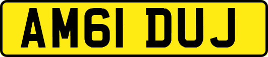 AM61DUJ