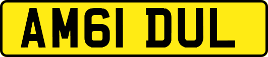 AM61DUL