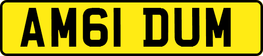 AM61DUM