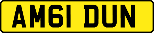 AM61DUN