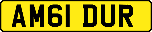 AM61DUR