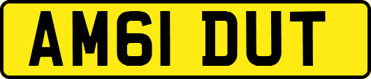 AM61DUT