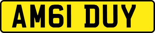 AM61DUY