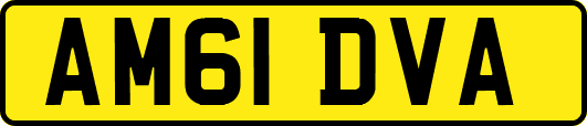 AM61DVA