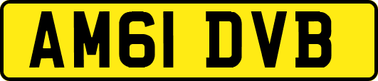 AM61DVB