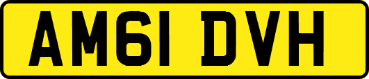 AM61DVH