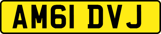 AM61DVJ