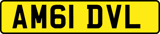 AM61DVL