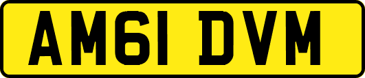 AM61DVM