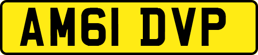 AM61DVP