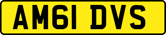 AM61DVS