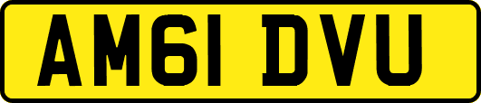 AM61DVU