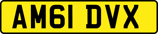 AM61DVX
