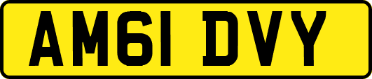 AM61DVY