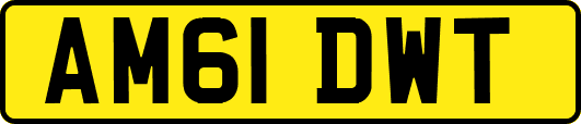 AM61DWT