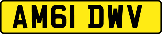AM61DWV