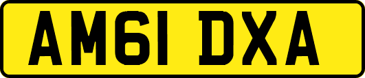 AM61DXA