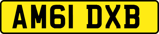 AM61DXB