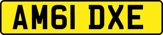 AM61DXE