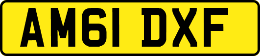 AM61DXF