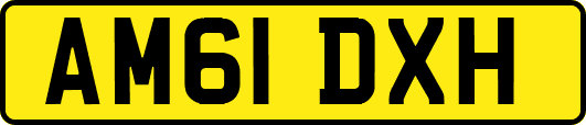 AM61DXH