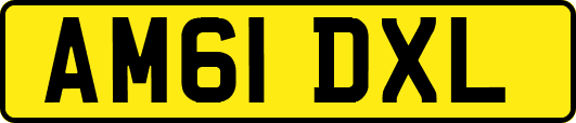 AM61DXL