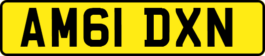 AM61DXN