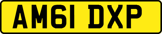AM61DXP