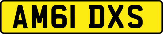 AM61DXS