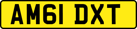 AM61DXT