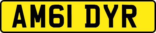 AM61DYR