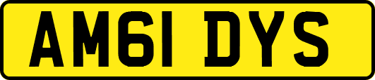 AM61DYS