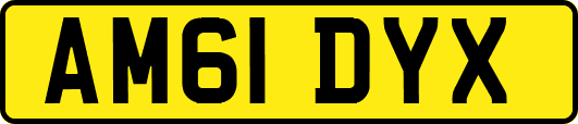 AM61DYX