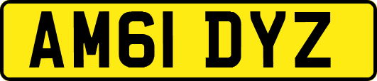 AM61DYZ