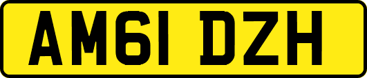 AM61DZH
