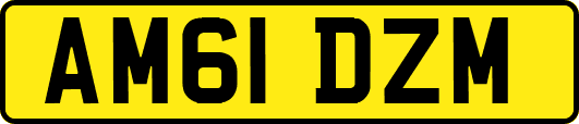 AM61DZM