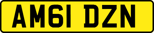 AM61DZN